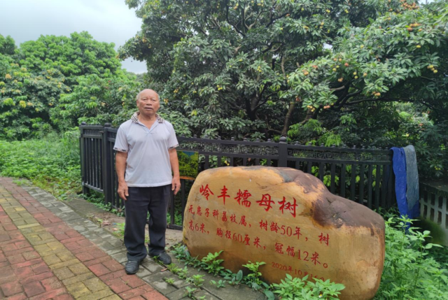 李寿华的华丰果园