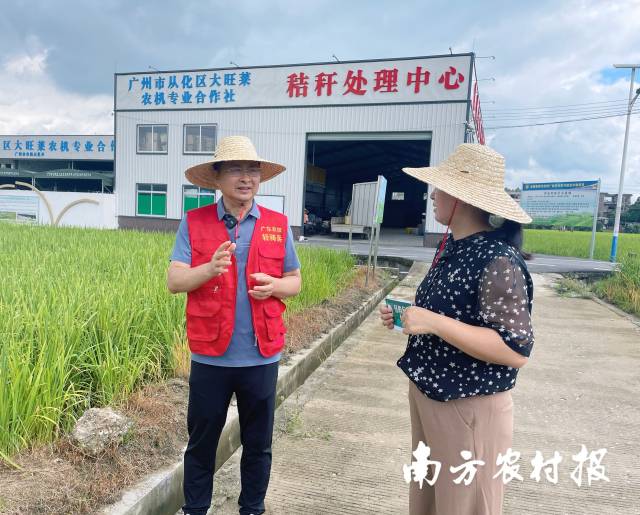 广东省农业科学院水稻研究所研究员黄庆