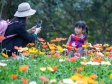 接驳旅游景区与地铁，26条端午定制专线畅游广州