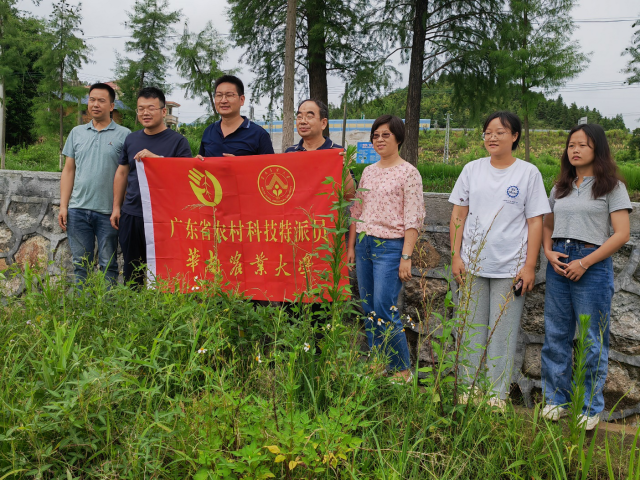 专家们在司前镇温下村考察发现野生大豆。