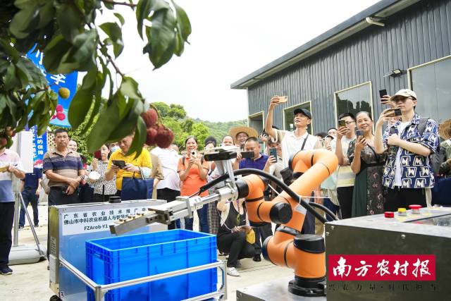 佛山市中科农业机器人与智慧农业创新研究院团队研发的荔枝采摘机器人