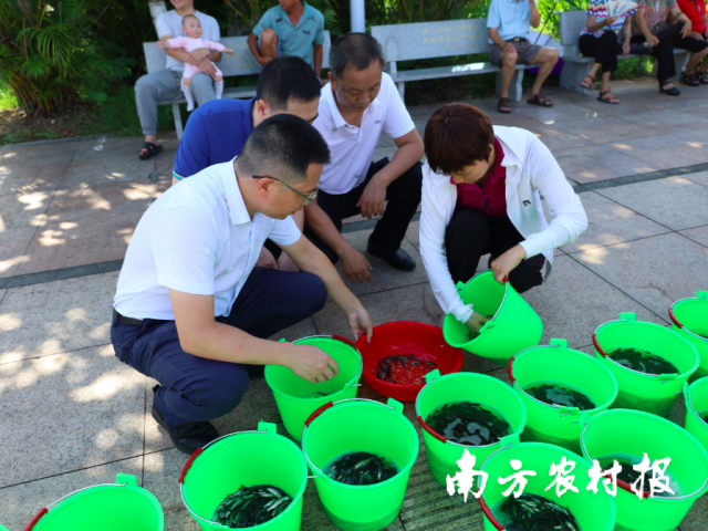 验收组专家对鱼苗的规格、数量、品种等逐一进行了验收