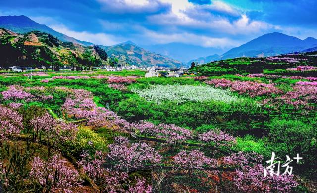 九峰山環(huán)境優(yōu)越,，每年春天李花,、桃花盛開。