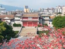 阅江楼上清风行——探访肇庆叶挺独立团团部旧址