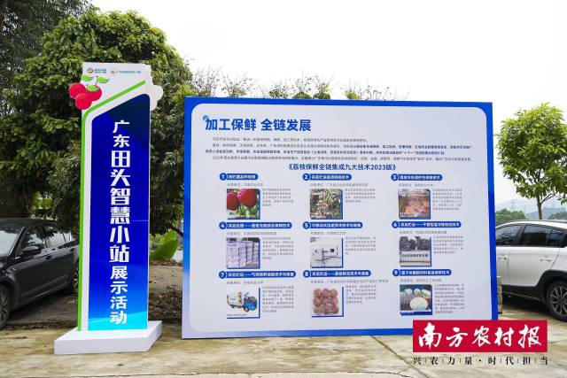 广东“轻骑兵”下田头，助“荔”保鲜最后一公里