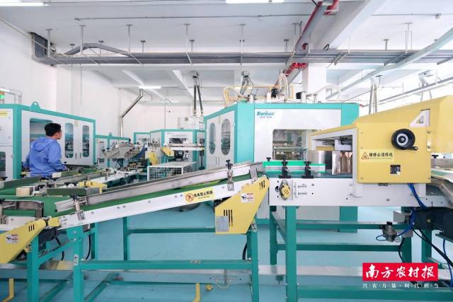 丝苗米加工厂内的包装线。