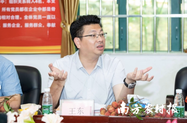 王东提出，要在东莞建立全国第一个朱顶红互联网平台。