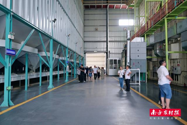 参会嘉宾参观丝苗米智能化生产线。