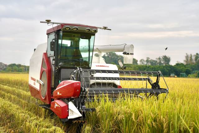 无人农场收割机。