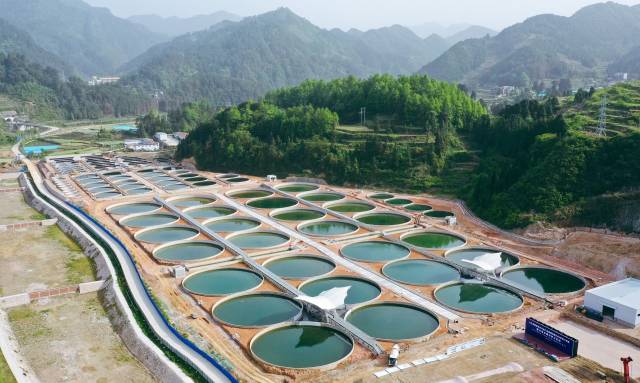 碧桂园台江县鲟鱼三产融合示范园