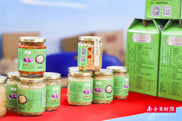 惠来特产 篮尾蒜头