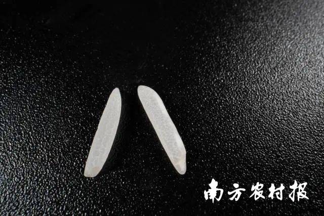 受訪者供圖