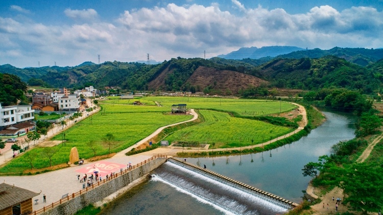 碧桂园：做帮扶路上的前行者 | “6·30”助力乡村振兴活动系列报道①
