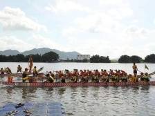 练江赛龙舟，走！