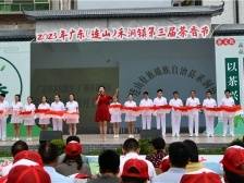 茶香润端午，连山禾洞镇“茶香节”人气财气双丰收