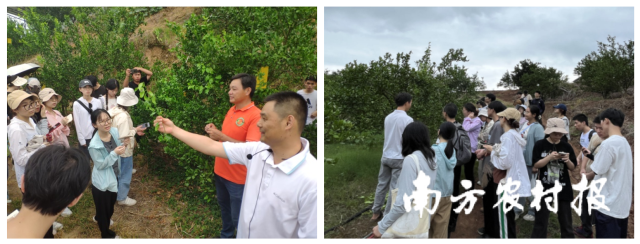 團(tuán)隊(duì)在柑橘園調(diào)研和技術(shù)交流
