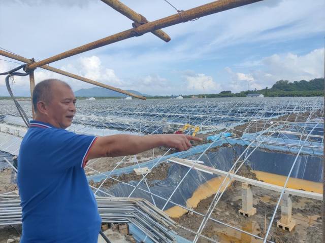 吴新锋在洪滘咸围