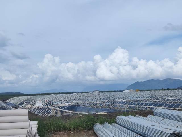 洪滘咸围上正在架设大棚