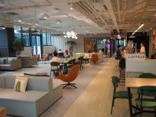 在这里，湾区青年的梦想结出累累硕果