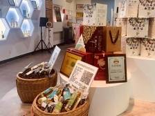 梅州兴宁：擦亮“中国油茶之乡”，赋能“百千万工程”