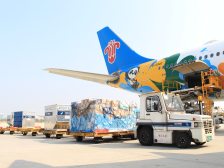 最高降35%！广东荔枝首次有了出口空运专项价格