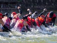 红芯十事·文化传承|燕罗，又一个龙舟赛，这次在社区