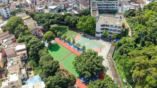 胡波：以侨为桥，打造链接海内外的情感纽带