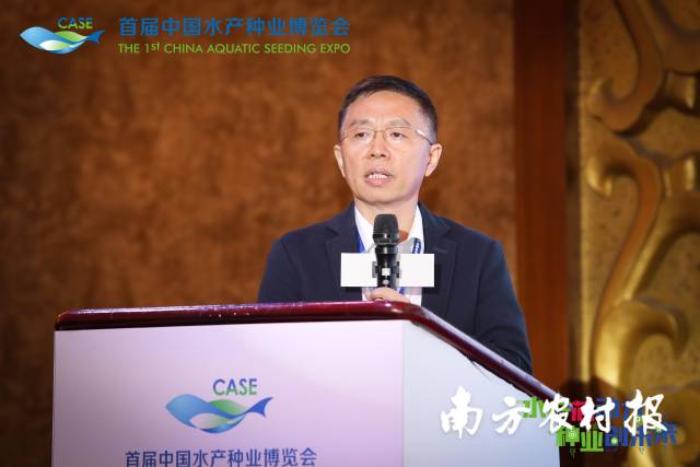 为规范养殖提供“参考答案”！首个牛蛙国家行业标准8月起实施
