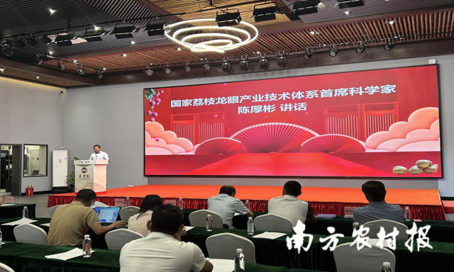 国家荔枝龙眼产业体系首席专家陈厚彬发言