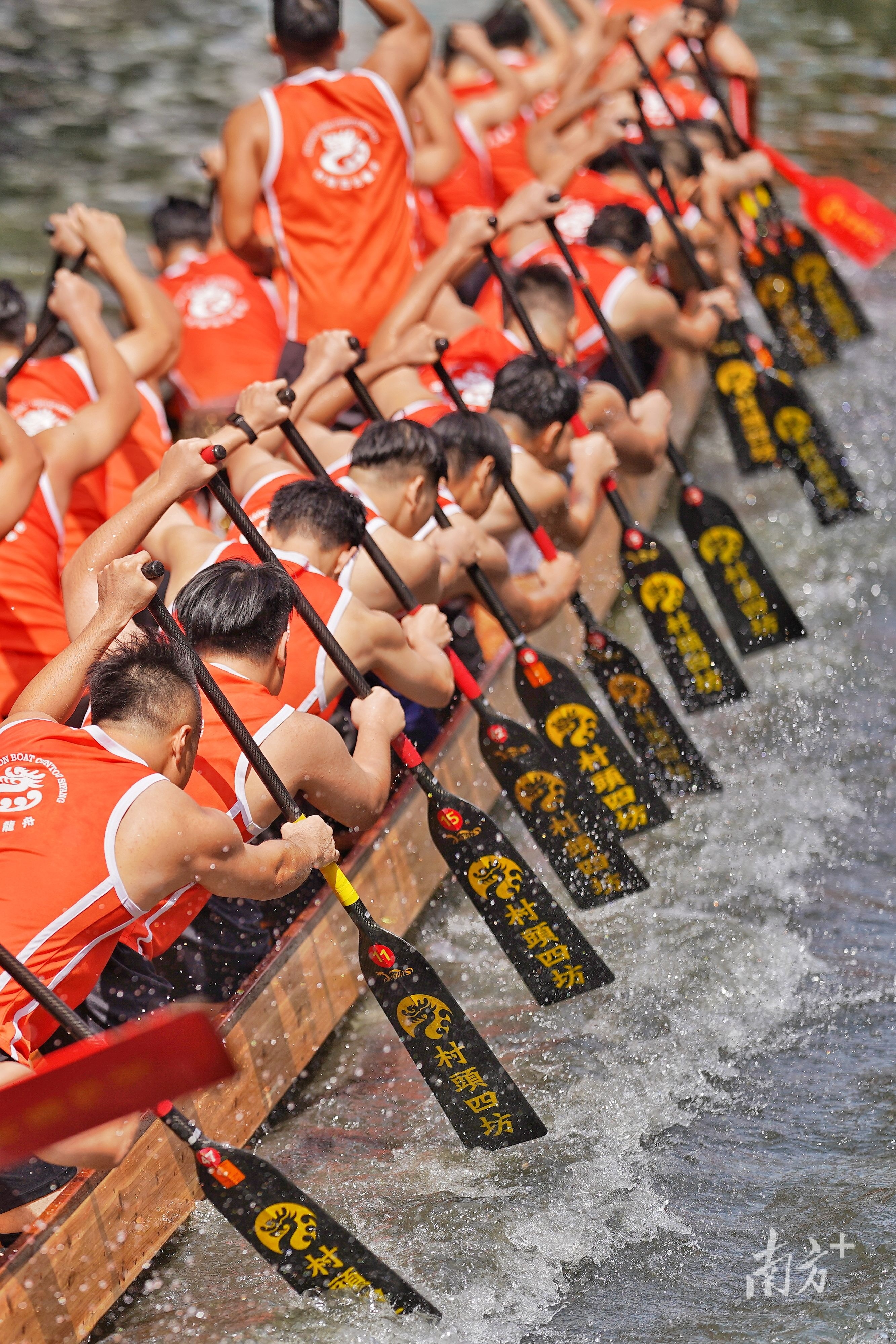 今年端午节,“佛山龙舟”创下了热度新纪录。戴嘉信 摄 今年端午节,“佛山龙舟”创下了热度新纪录。戴嘉信 摄