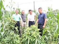 民生小事用心办，驻平远县石正镇帮镇扶村工作队帮扶有实效