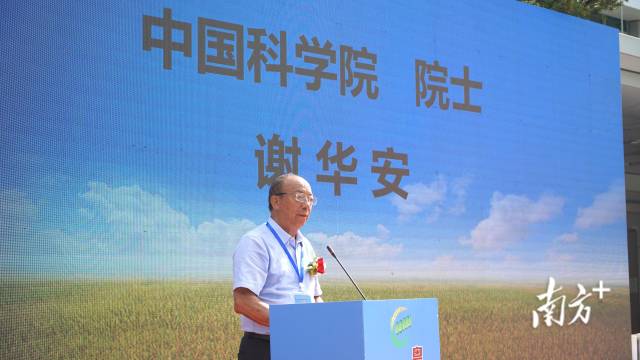 中國科學(xué)院院士謝華安,。