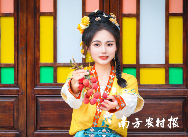 南方农村报 陈志深 拍摄