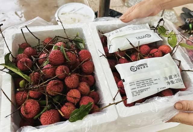 荔枝使用冰袋保鲜