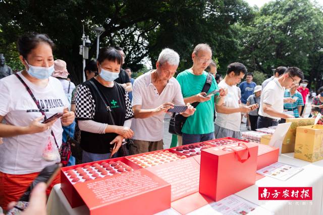 市民朋友在荔枝展区前