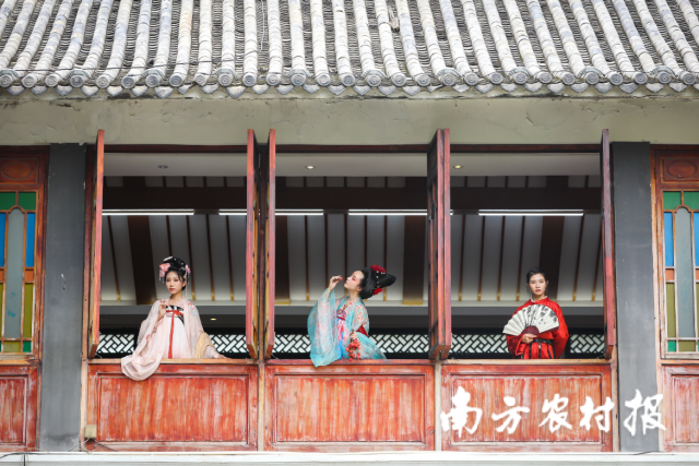 南方农村报 陈志深 拍摄