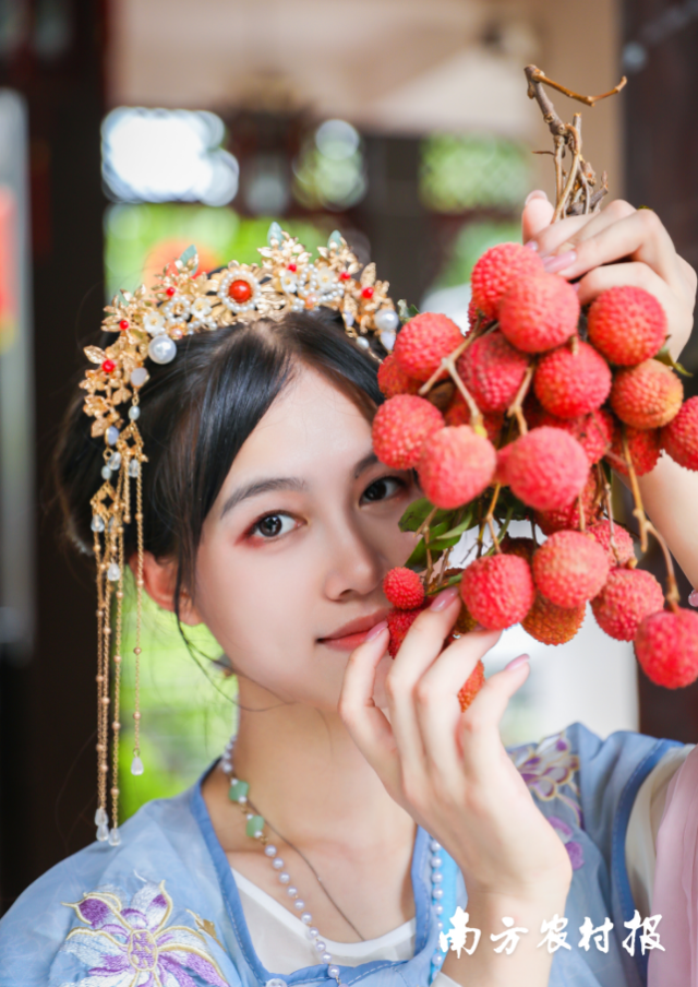 南方农村报 陈志深 拍摄