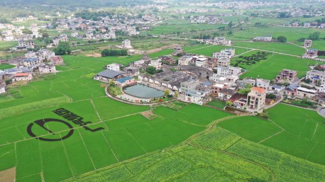 東石鎮(zhèn)花生與產(chǎn)業(yè)共建示范基地。