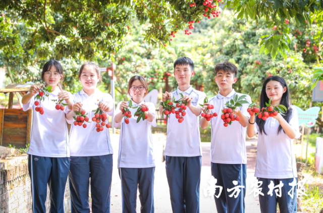 南方农村报 陈志深 拍摄