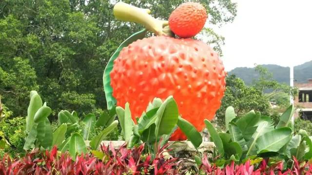 这届汕头雷岭荔枝节怎么玩？最全攻略来了