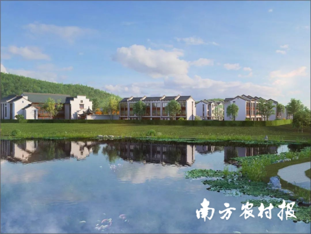 帽峰山示范带的民宿 广州市农业农村局/供图