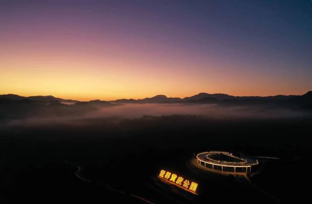 郁南农旅新地标世界黄皮公园 摄影 何鉴清