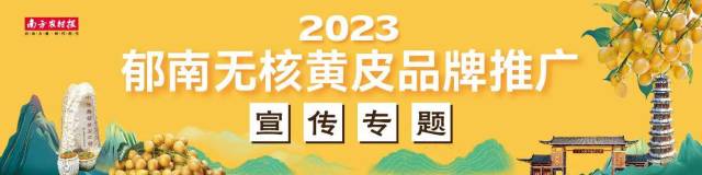 甜蜜预警！慢直播镜头告诉你“郁南无核黄皮成熟啦！”