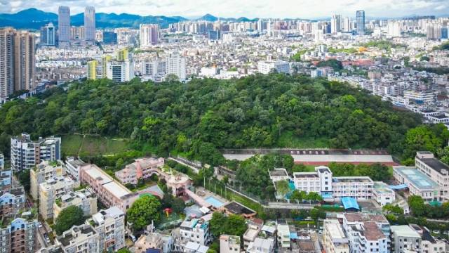 南方+视频｜厚兴莲峰系侨情，教育文脉自此盛