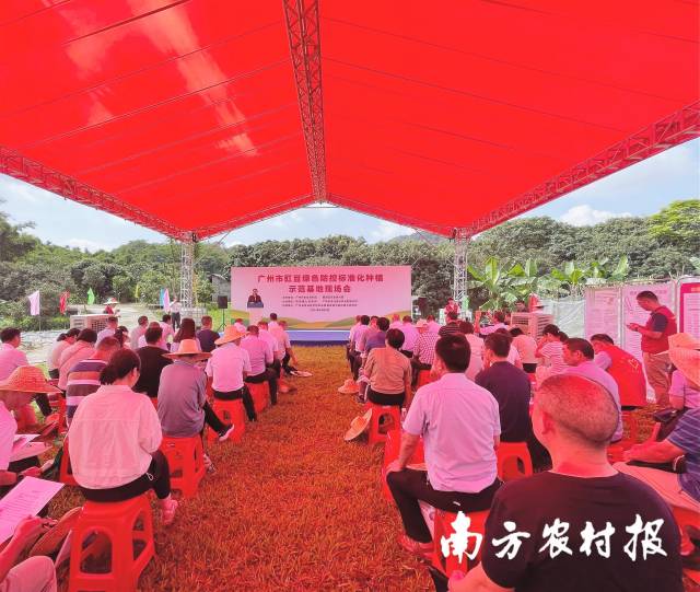 广州市豇豆绿色防控标准化种植示范基地现场会