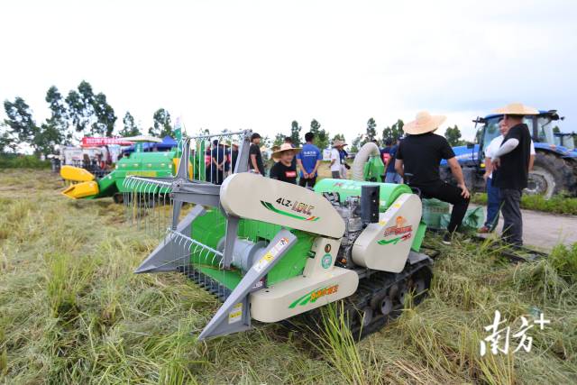 6月27日，2023年广东省夏收水稻机收减损技能大比武活动在湛江市雷州市举办。