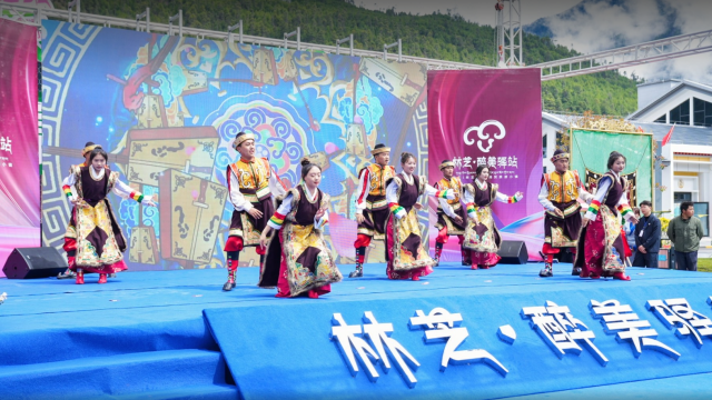 解读西藏灵杉格实业:引领市场新趋势