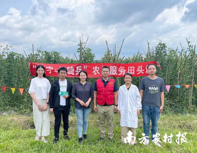 轻骑兵田头课讲解豇豆绿色种植标准化技术