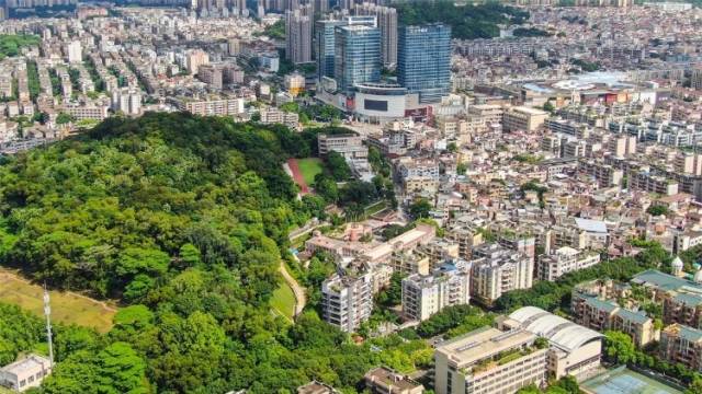 厚兴村：厚德植文脉，兴学证侨心｜中山侨村行③