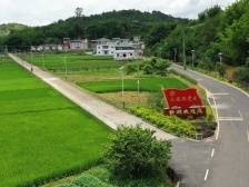 好生态带来好“钱”景！兴宁坚持走生态强县富民之路推动高质量发展